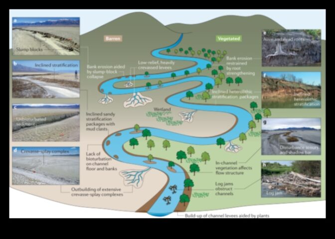 Mikrokozmos Meander Karmaşık Yerel Cazibe Merkezlerine Bir Kılavuz